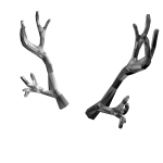 Silverthorn Antlers